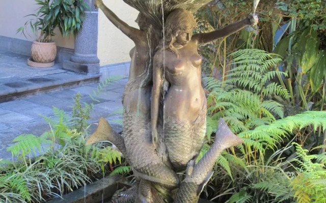 Hotel Posada Cotepec