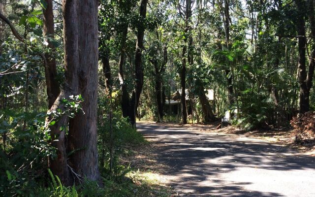 Byron Bay Rainforest Resort