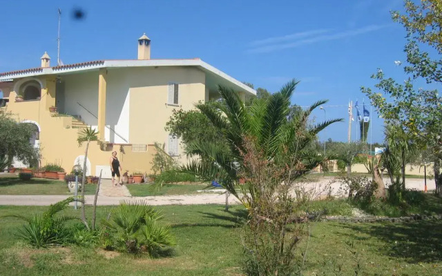 Le Mimose
