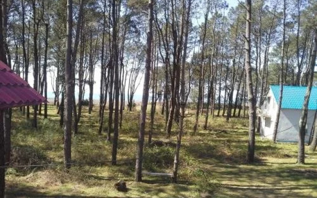 Homestay Kvantaliani Shekvetili