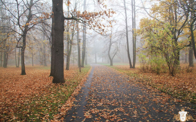 Karli Suites Leipzig