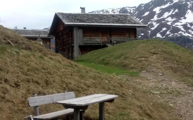 Kamelisenalm Alois Mair