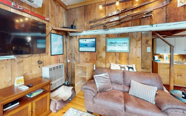 Pond View Cabin in Chittenden