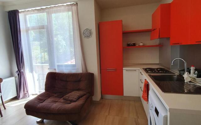 Bakuriani K-2 Apartment