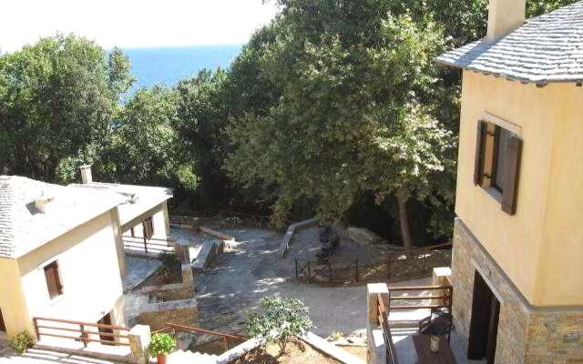Vergopoulos Olive Yard