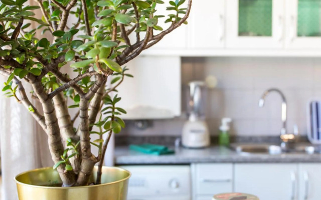 Sunset Relaxing Apt with terrace, parking & bikes