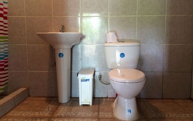 Hakuna Matata Drake Bay Hostel