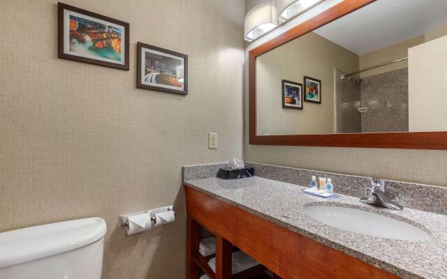 Comfort Inn & Suites Nashville Near Tanger Outlets  I-24 Antioch