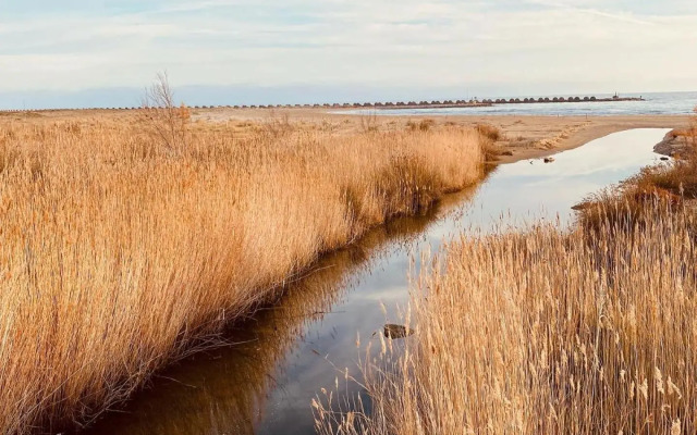 Charming apartment in a duplex with garden & balcony