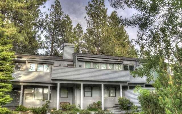 Virginia Rail Lane 11