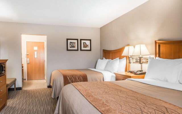 Comfort Inn South - Springfield