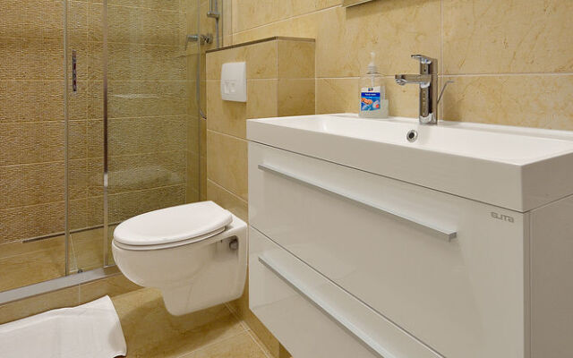 Ambiente Serviced Apartments - Palace Motesickych