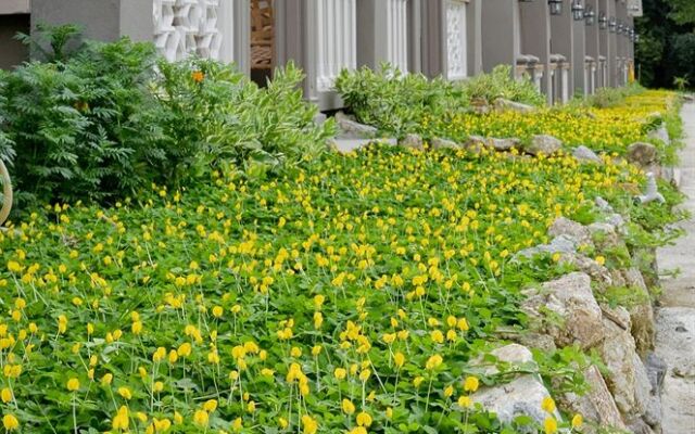 Dream Garden Resort