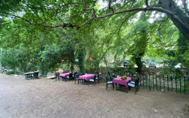 Yörükpark Otel Restoran