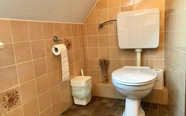 MAL Steinbock _ Ferienwohnung Anni