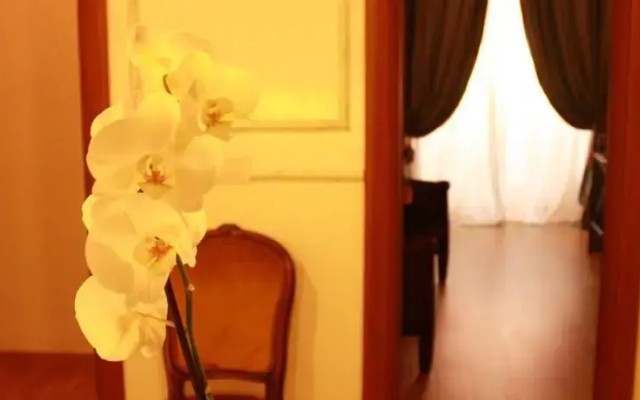 Camere Corona