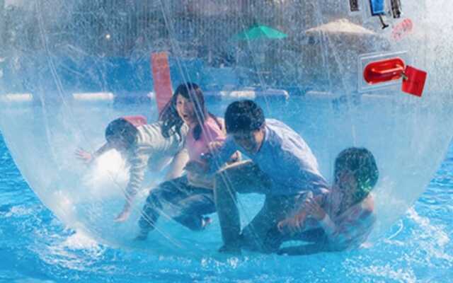 Breathtaking View House