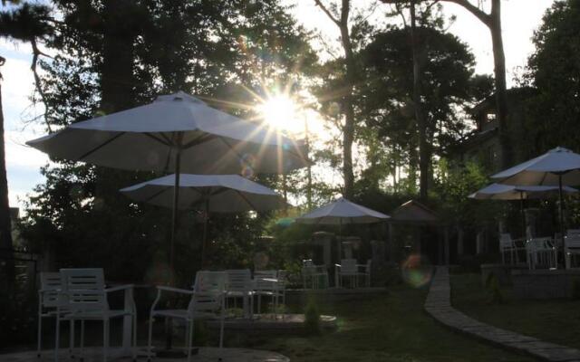 Zen Cafe Dalat - Villa
