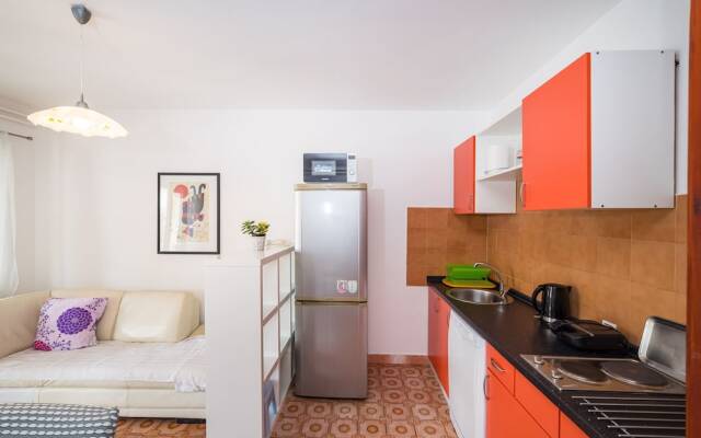 Cozy Apartment Branka With Nice Garden 6