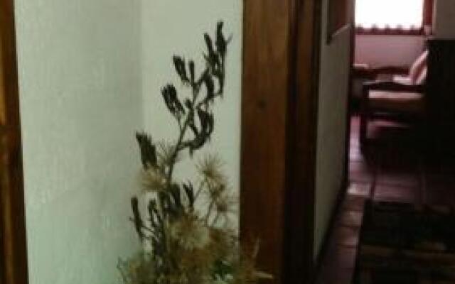 Complejito El Pichon