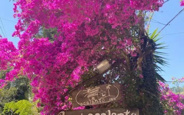 Pousada Acalanto Inn