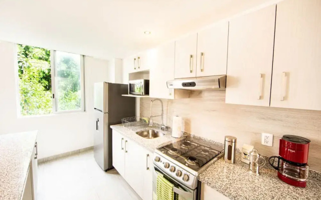 Sophisticated Park Venue Apartment Near Polanco