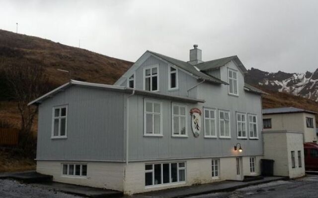 Puffin Hostel Vík