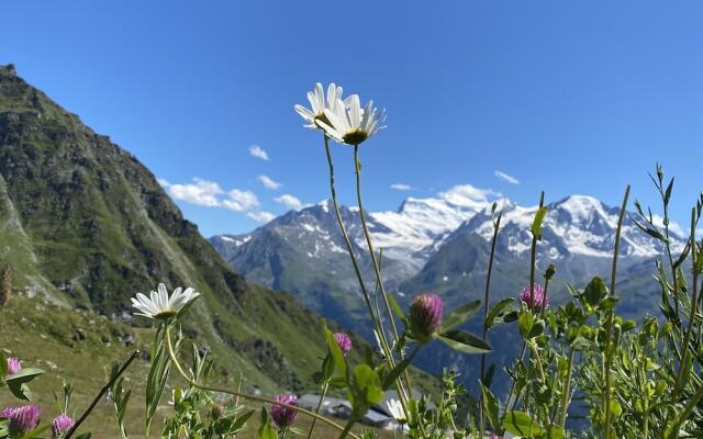 Cozy Apartment with Balcony in La Tzoumaz
