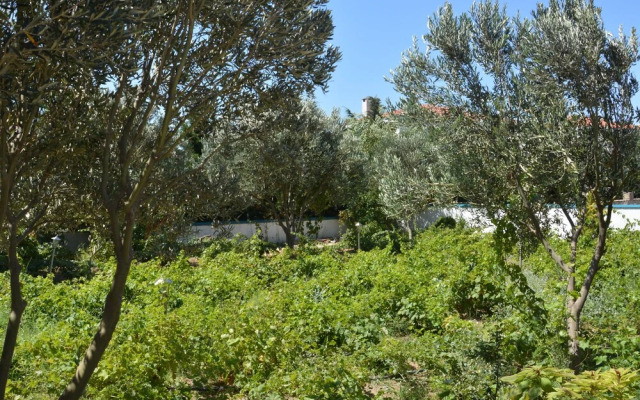 Anatolia Butik Otel