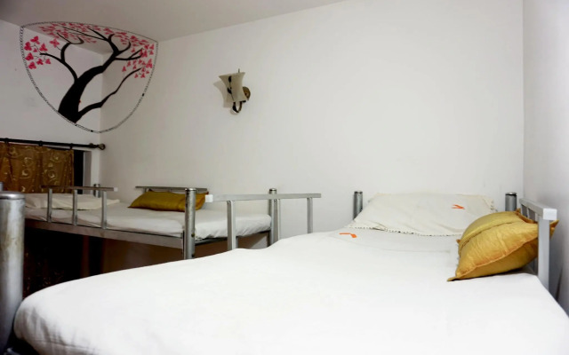 AAO Hostels