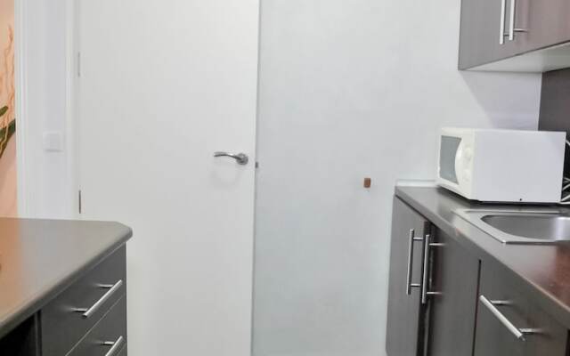 DFlat Escultor Madrid 503 Apartments