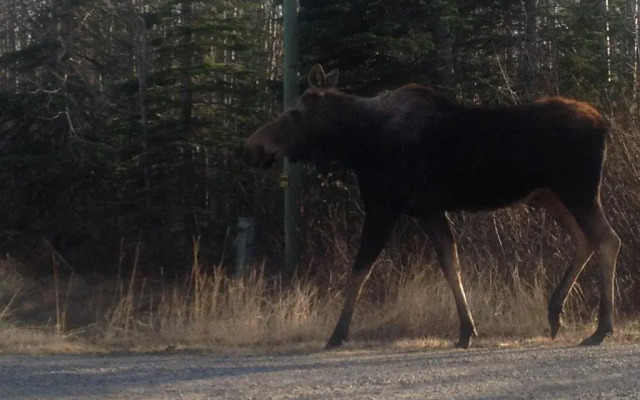 Serenity Hillside B&B