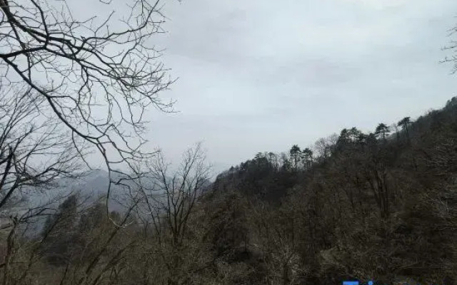 Wudang Mountain Fenjinling Haraju