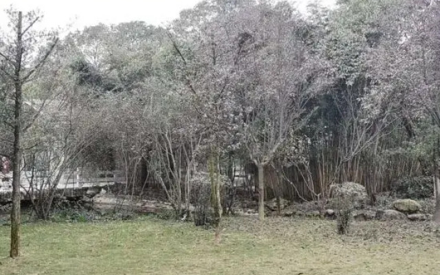 Qi Ming Xing Hot Spring Hotel