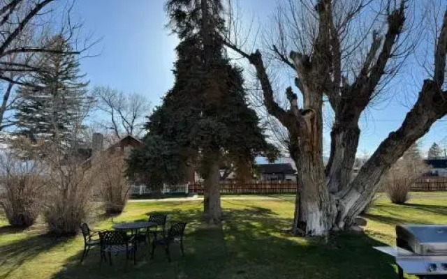 Silver Maple Inn