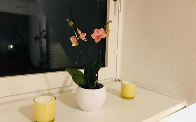 Apartment Braunschweig - Charlys Home
