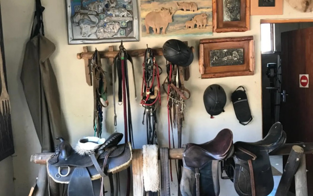 Caracal Lodge