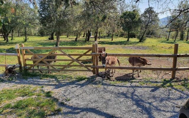 Suite Nid d'Amour et Spa privatif