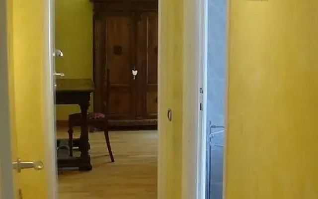 Il fenicottero rosa - Monteverde