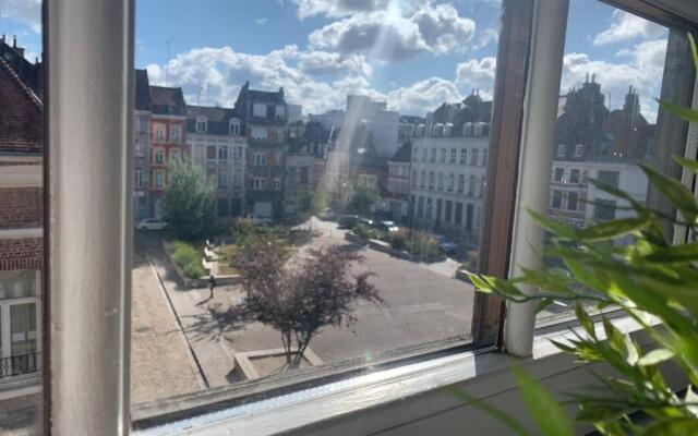SOUVENIRS VIEUX LILLE Apartment 2 Chambres 24H24H Access