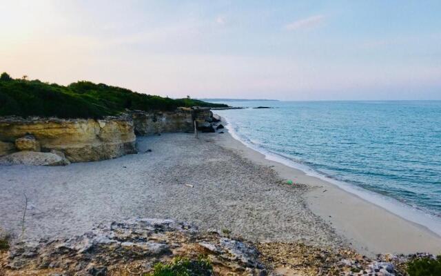 Tenuta Turchi