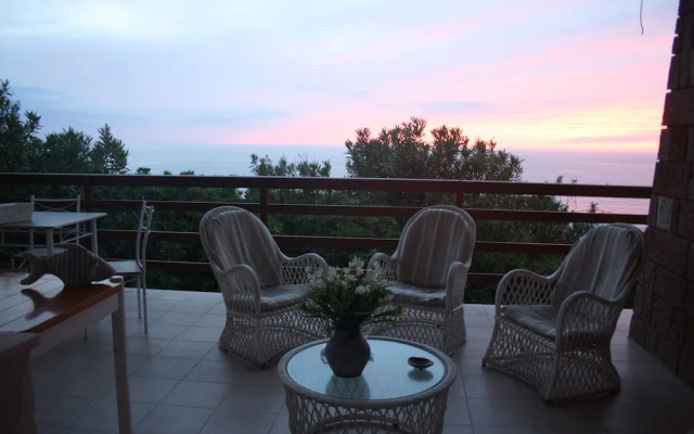 a Vacation That Becomes a Dream