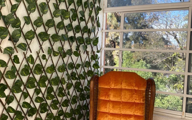 Hotel Posada Jardin