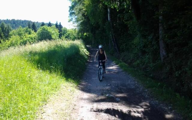 B&B Agritur Airone