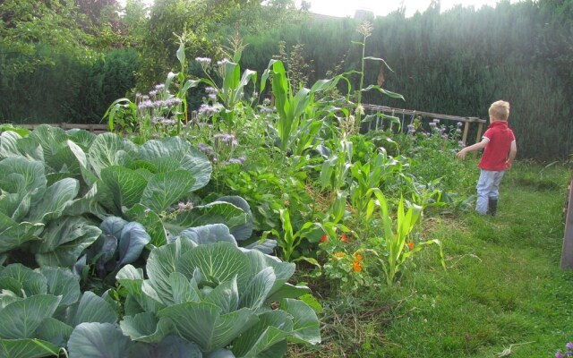 Pleasing Apartment in Battenberg Germany near Ski Area