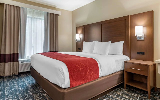 Comfort Inn & Suites Downtown near University