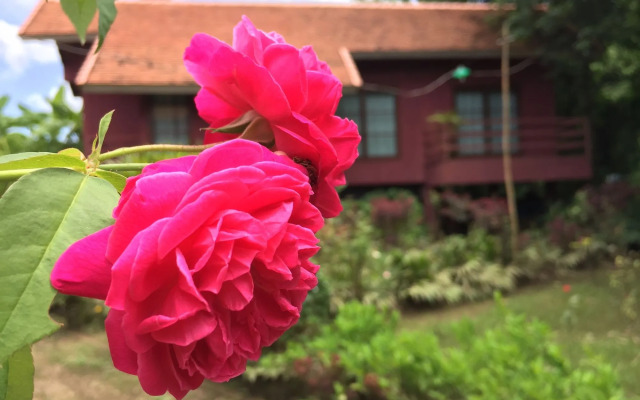 Chiangmai Royal Creek