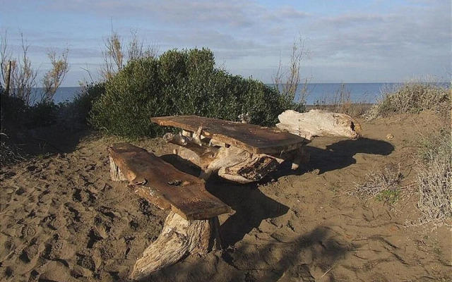 Marina Di Castagneto