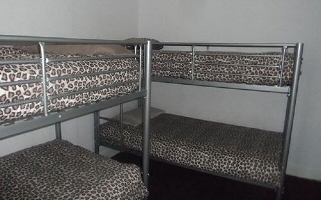 The Hangover Hotel - Hostel