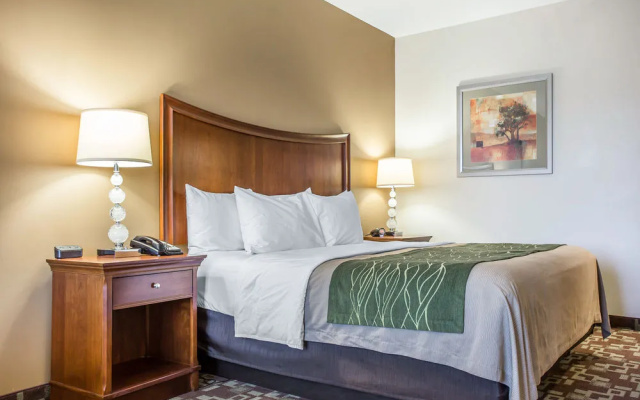 Comfort Inn & Suites